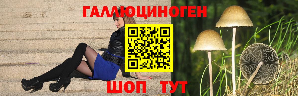 Строитель  Псилоцибиновые грибы мухоморы  Вход с VPN 